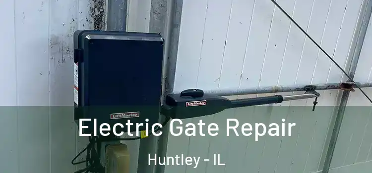 Electric Gate Repair Huntley - IL