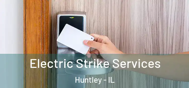  Electric Strike Services Huntley - IL