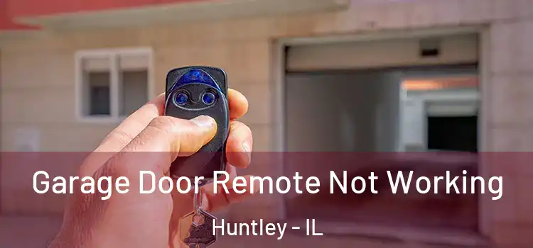  Garage Door Remote Not Working Huntley - IL