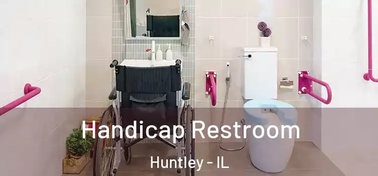  Handicap Restroom Huntley - IL